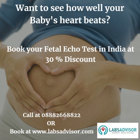 Fetal Echo Test in India